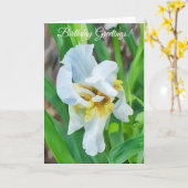 Witte Iris Bloem Art Tuin Verjaardag Kaart (Gele Bloem)