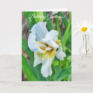 Witte Iris Bloem Art Tuin Verjaardag Kaart