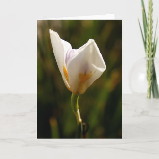 Witte Iris Bloem Wenskaart Aankondiging