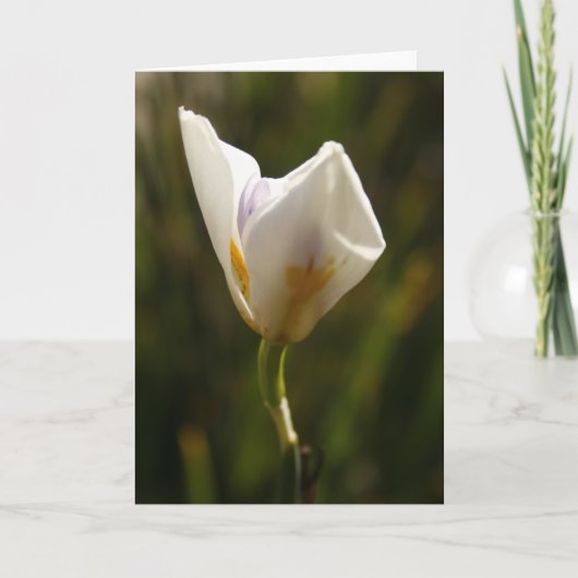 Witte Iris Bloem Wenskaart Aankondiging (Voorkant)