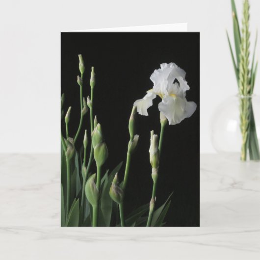Witte Iris in Dark van Nacht Kaart (Voorkant)