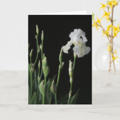 Witte Iris in Dark van Nacht Kaart (Gele Bloem)