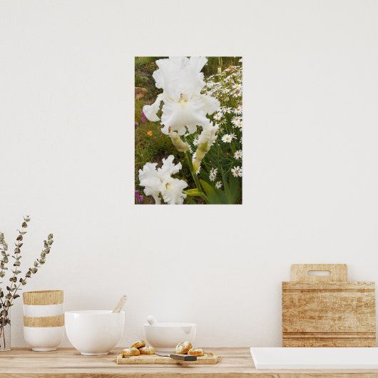 Witte iris irissen bloementuin Poster (Keuken)