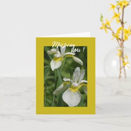 Witte Iris - Jou Missen Kaart (Gele Bloem)