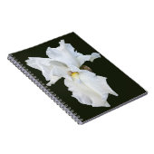 Witte Iris met Baard op Zwarte Achtergrond Notitieboek (Rechterzijde)