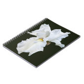 Witte Iris met Baard op Zwarte Achtergrond Notitieboek (Linkerzijde)