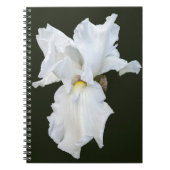 Witte Iris met Baard op Zwarte Achtergrond Notitieboek (Voorkant)