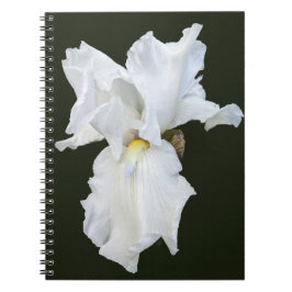 Witte Iris met Baard op Zwarte Achtergrond Notitieboek