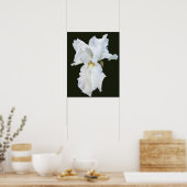 Witte Iris met Baard op Zwarte Achtergrond Poster (Keuken)