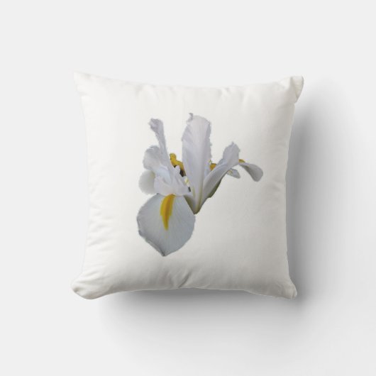 Witte iris met geel midden kussen (Voorkant)