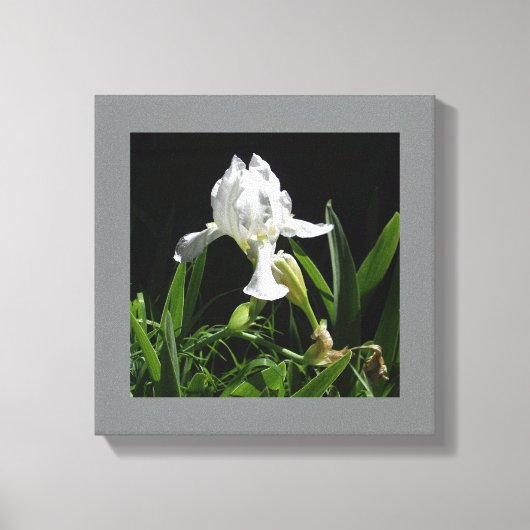 Witte Iris voor uw muur Canvas Afdruk (Voorkant)