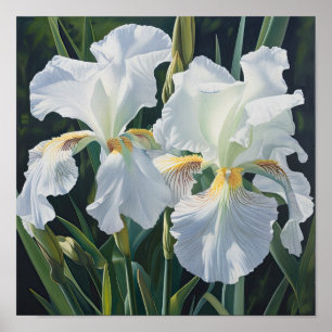 Witte Irissen Bloemenkunst Print Poster