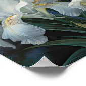 Witte Irissen Bloemenkunst Print Poster (Hoek)