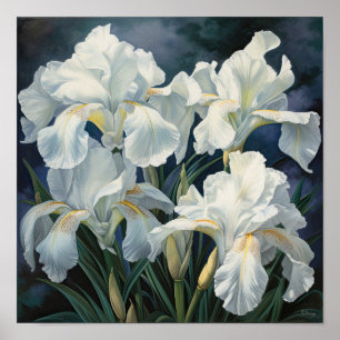 Witte Irissen Bloemenkunst Print Poster