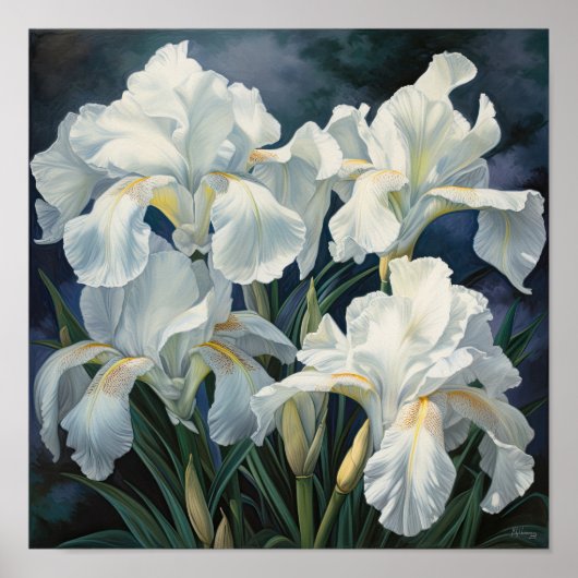 Witte Irissen Bloemenkunst Print Poster (Voorkant)