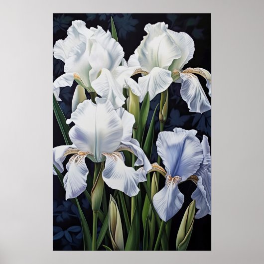 Witte Irissen Bloemenkunst Print Poster (Voorkant)