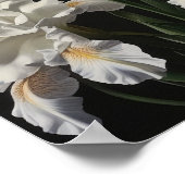 Witte Irissen Bloemenkunst Print Poster (Hoek)