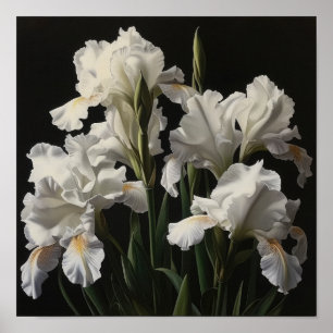 Witte Irissen Bloemenkunst Print Poster