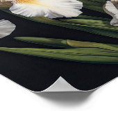 Witte Irissen Bloemenkunst Print Poster (Hoek)