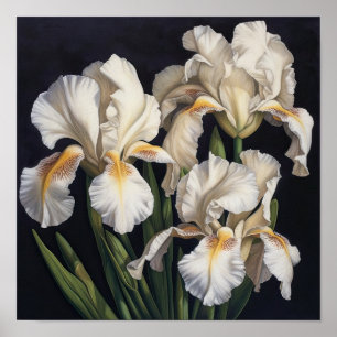 Witte Irissen Bloemenkunst Print Poster