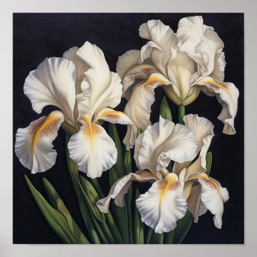 Witte Irissen Bloemenkunst Print Poster (Voorkant)