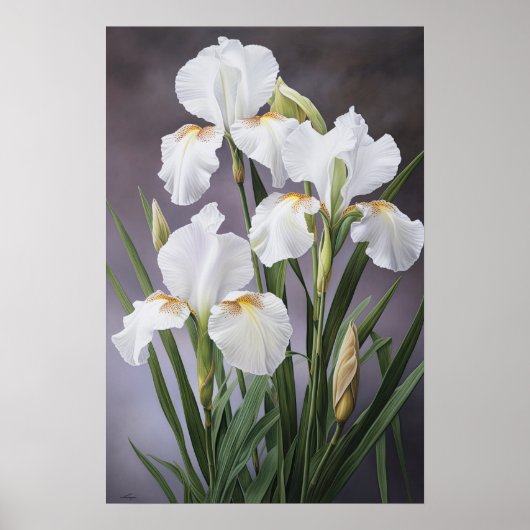 Witte Irissen Bloemenkunst Print Poster (Voorkant)