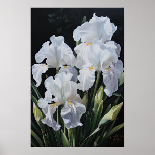 Witte Irissen Bloemenkunst Print Poster