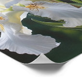 Witte Irissen Bloemenkunst Print Poster (Hoek)