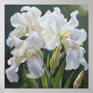 Witte Irissen Bloemenkunst Print Poster