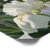 Witte Irissen Bloemenkunst Print Poster (Hoek)