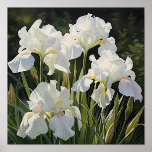 Witte Irissen Bloemenkunst Print Poster