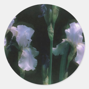 Witte irissen in bloei onder de maneschijn ronde sticker