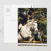 Witte jager die springstaart briefkaart (Voorkant / Achterkant)