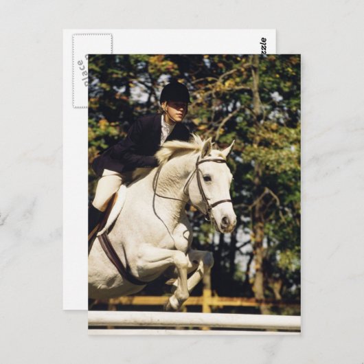 Witte jager die springstaart briefkaart (Voorkant / Achterkant)