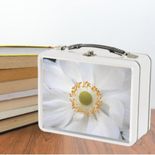 Witte Japanse Anemone Floral