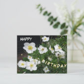 Witte Japanse Anemonen Verjaardagsansichtkaart Briefkaart (Staand voorkant)