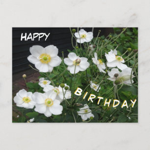 Witte Japanse anemones Birthday Briefkaart