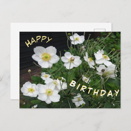 Witte Japanse anemones Happy Birthday Briefkaart (Voorkant / Achterkant)