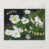 Witte Japanse anemones Happy Birthday Briefkaart (Voorkant)