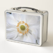 Witte Japanse Anemoon Bloem (Voorkant)