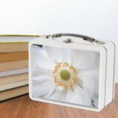 Witte Japanse Anemoon Bloem