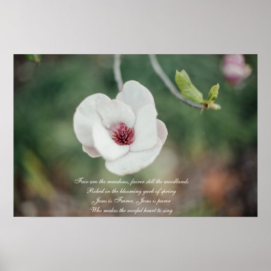 Witte Japanse Magnolia Flower met Old Hymn Poster (Voorkant)