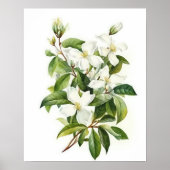 Witte Jasmijn Bloemen Art Print Poster (Voorkant)