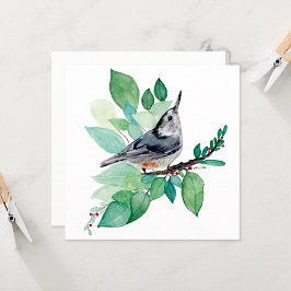 Witte Kaart van Nuthatch Bird
