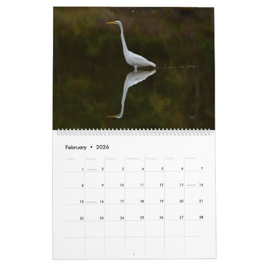 Witte kalender 2020 (Feb 2026)