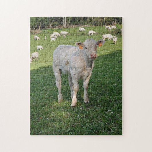 Witte kalf in een veld legpuzzel (Verticaal)