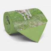 Witte kalf stropdas (Opgerold)