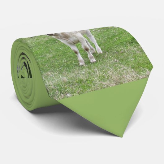 Witte kalf stropdas (Opgerold)