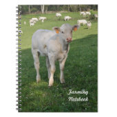 Witte kalverenkooi-notebook notitieboek (Voorkant)