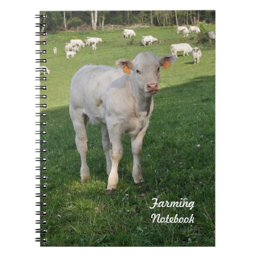 Witte kalverenkooi-notebook notitieboek (Voorkant)